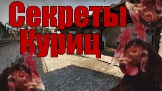 У куриц есть секреты | cs go