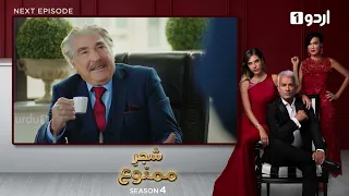 Shajar-e-Mamnu | Episode 314 Teaser |Turkish Drama| Forbidden Fruit | Urdu Dubbing |21 February 2022