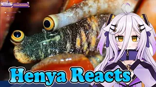 Henya Reacts | Daily Dose Of Internet | Try Not To Laugh