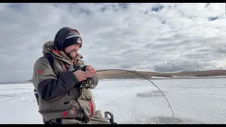 I Hooked Into A Monster Fish - FORT PECK, MONTANA