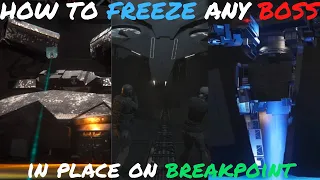 How To FREEZE Any Boss In Place | Breakpoint Raids Made Easy