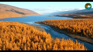 Осень на Аяне. Плато Путорана / Autumn at the Putorana Plateau