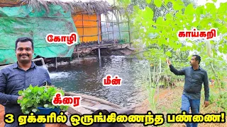 தோட்டத்திலிருந்து வீட்டுக்கு Vrisham Nature Farm -ன் Success -க்கு இதுதான் காரணம்! 😍