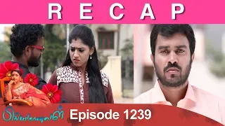 RECAP : Priyamanaval Episode 1239, 11/02/19