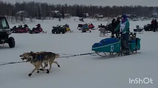 Iditarod 2024 Official Restart in Willow