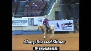 SHARP DRESSED SHINER  - Dress Up Your Future !