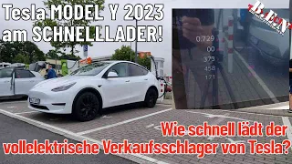 Mit dem Tesla Model Y RWD und CATL-Akku am Schnelllader: Begeisterungsstürme bleiben aus!