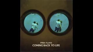 Pink Floyd - Coming Back To Life (Torisutan Special Extended)