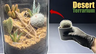 creating a Desert Terrarium with Cacti in a Pickle Jar