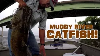 BIG FLATHEAD!!! Muddy River Catfishing Rig / Setup