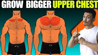 5 BEST things to GROW BIGGER UPPER CHEST