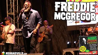Freddie McGregor in Kingston, Jamaica @ Dennis Brown Tribute Concert 2020