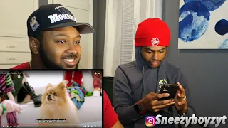 NMIXX "Love Me Like This" M/V | LIT REACTION 😂🔥