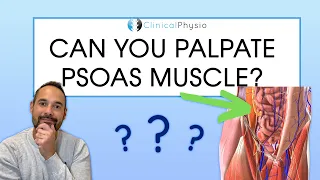 Can You Palpate The Psoas Muscle?! Expert Physio Reviews