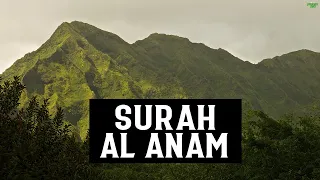 SURAH AL AN'AM (FULL SURAH) - HEART SOOTHING RECITATION