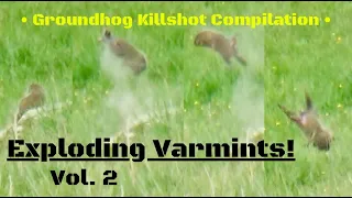 Groundhog Killshot Compilation...Exploding Varmints Vol. 2!!!