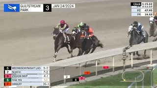 Gulfstream Park Carrera 3 - 24 de Enero 2024