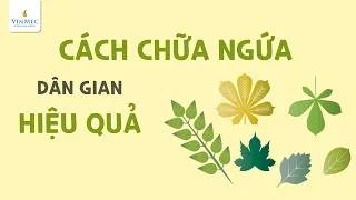 Cách chữa ngứa bằng các loại lá dân gian