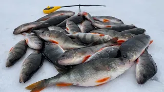 ЭТА СНАСТЬ КОСИТ ОКУНЯ! Зимняя рыбалка 2023