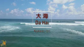 大海 【卡拉OK (女)】《KTV KARAOKE》 - Da Hai Karaoke (Female)
