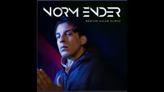 Norm Ender - Kediler Aslan Olmaz ( REMİX ) BASS