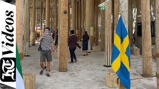 Tour of Swedish forest at Expo 2020 Dubai