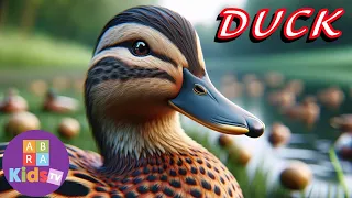 DUCK - Wildlife Wonders 🦆 Animals for Kids 🦆 Educational Videos For Kids 🦆 no comment