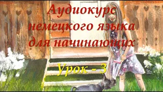 Немецкий для начинающих | Урок 3 | Аудиокурсы Langme