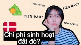 CHI PHÍ SINH HOẠT DU HỌC Ở ĐAN MẠCH 🤑🇩🇰