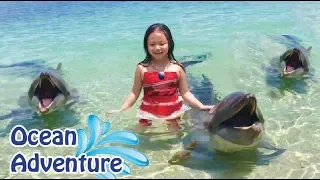 6 Yr Old Swims with Pet Dolphins