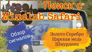 Поиск с Minelab Safari Обзор сигналов Золото, Серебро, Царская медь, Шмурдина.