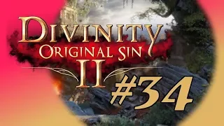 Divinity: Original Sin II [#34]: How Would Braccus Rex Douse a Man on Fire?