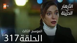 مسلسل الأزهار الحزينة | الحلقة 317 - الموسم الثالث