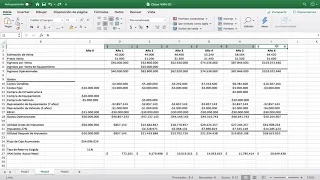 Desarrollo y Analisis de VAN y TIR