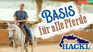 Die Basis für alle Pferde | Bernd Hackl erklärt! 🐴