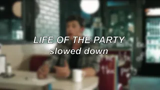 Shawn Mendes - Life Of The Party | Slowed Down