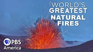 World's Greatest Natural Fires FULL EPISODE | PBS America