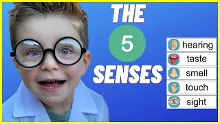 The FIVE Senses for Kids | Science Experiments for Kids | Educational Videos for Preschoolers