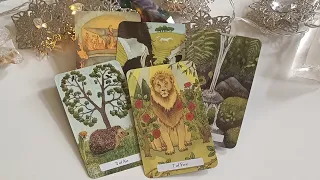 Das musst Du über ihn und Euch wissen! Was ist los in seinem Leben und in Bezug auf Dich?💕 Tarot