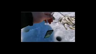 Рыба подо льдом снята на обычный смартфон. Работает!!!