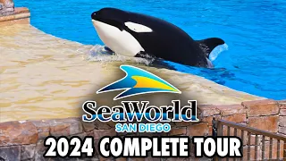 SeaWorld San Diego Tour 2024 - Rides, Shows, Animal Exhibits and Walkthrough [4K POV]