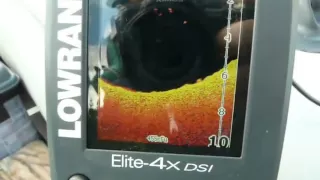 Стаи бели, сканируемые эхолотом Lowrance Elite 4x DSI