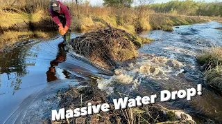 Huge Beaver Dam Removal