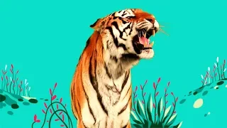 StoryBots | Wild Animal Songs: Tiger, Lion, Zebra, Rhino | Learning Songs for Kids | Netflix Jr