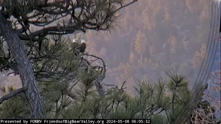 The morning of May 8 in the valley  FOBBV CAM