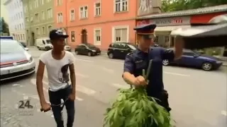 Это ганжа? This Ganja?