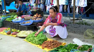 Process of Making Bean Sprouts - Harvest Vegetables & Turmeric Goes to the market sell | Lý Thị Ca