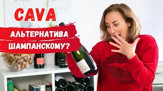 CAVA Альтернатива Шампанскому?! Разбираемся в игристых винах.