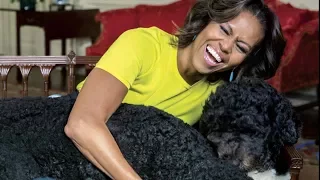 Michelle Obama's White House photographer shares the stories behind iconic photos