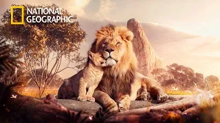 Africa's Most Fearsome Hunters - Lion Pride Documentary |Nat Geo Wild 2023 Full HD